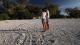 Turtle tracks  - Lady Elliot Island Eco Resort