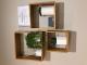 Reception
 - Lifestyle Apartments at Ferntree