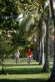 Activities
 - Lomani Island Resort & Spa