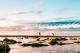 Beach
 - Mackerel Islands