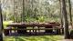 MAKEPEACE BUSH TABLE
 - Makepeace Island