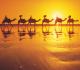 Beach
 - Mantra Frangipani Broome