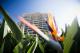 Exterior
 - Mantra Mooloolaba Beach