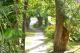 Gardens
 - Mantra Portsea Port Douglas