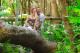 Relaxed rainforest setting
 - Ramada Resort by Wyndham Port Douglas
