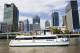 Brisbane City Centre Tours, Cruises, Sightseeing and Touring - Koala Cruise - Return River cruise to Lone Pine Sanctuary