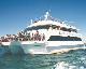 Port Stephens and Surrounds Tours, Cruises, Sightseeing and Touring - Dolphin Discovery Cruise