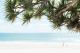 Noosa Main Beach
 - Netanya Noosa