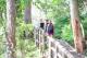 Enjoy strolling the Noosa Board Walk
 - Netanya Noosa