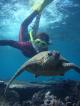 Underwater paradise - Ningaloo Coral Bay - Bayview