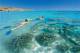 Snorkelling
 - Ningaloo Reef Resort Coral Bay