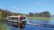 Boat Driving Away
 - Habitat Noosa