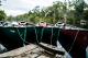 Canoes tied up
 - Serenity Tour Everglades Eco Safaris