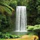 Cairns Tours, Cruises, Sightseeing and Touring - Tablelands, Waterfalls, Rainforest & Paronella Park-Concess