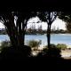Lagoon view
 - Novotel Sunshine Coast Resort