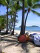 Palm Cove Beach
 - Oasis At Palm Cove
