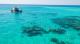 Ocean Freedom - Snorkel Upolu Cay Reef
 - Ocean Freedom Cruise to Reef - 2 Cert Dive - ex NBC Ocean Freedom