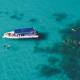 Queensland Tours, Cruises, Sightseeing and Touring - Half Day Ocean Safari GBR Exp ex Cape Tribulation