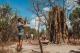 Cathedral Termite Mounds - LDT
 - Kakadu Day Tour, Nourlangie and Yellow Water Offroad Dreaming