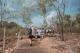 Guided Bushwalk LDT
 - Kakadu Day Tour, Nourlangie and Yellow Water Offroad Dreaming