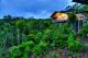 Villas External
 - O'Reilly's Rainforest Retreat
