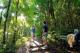 Bush Walking 
 - O'Reilly's Rainforest Retreat
