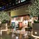 Dining  - Ovolo Woolloomooloo
