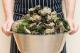 Provenir Restaurant
 - Paihia Beach Resort and Spa