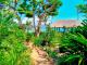 Palm Bay Garden Path to Beach
 - Palm Bay Resort