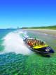 Surfers Paradise Tours, Cruises, Sightseeing and Touring - Paradise Jet Boating + Aquaduck Combo - Family