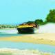 Beach
 - 30 minute Jet Blast Jetboat Ride Paradise Jetboating