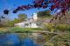 Parklands Main Guest House
 - Parklands Country Gardens & Lodges