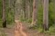 Surrounded by Forest
 - Beach and Forest Eco Adventure Pemberton Discovery Tours
