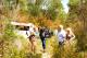 Seasonal spring wildflowers
 - Beach and Forest Eco Adventure Pemberton Discovery Tours