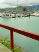 Peninsula from Boardwalk
 - Peninsula Airlie Beach