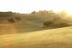 Golf Course
 - Peppers Moonah Links Resort Mornington Peninsula