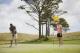 Golf
 - Peppers Moonah Links Resort Mornington Peninsula