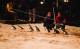 Phillip Is./Gipps Sth Tours, Cruises, Sightseeing and Touring - Penguin Parade Standard Viewing/ Penguin Parade General View