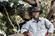 Phillip Is./Gipps Sth Tours, Cruises, Sightseeing and Touring - Koala Conservation Reserve