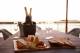 Dining
 - Pier One Sydney Harbour