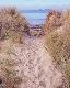
 - Piermont Retreat Swansea