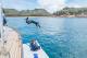 Diving in the turquoise Magnetic Island waters
 - Lunchtime Sailing Cruise, 4 hours Pilgrim Sailing