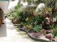Garden  - Pinevalley Apartments
