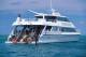 Cairns/Tropical Nth Tours, Cruises, Sightseeing and Touring - Poseidon - Snorkelling ex Cairns Hotel