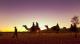 Peace and tranquility of an outback sunset  - Sunset Ride Pyndan Camel Tracks