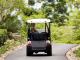 qualia 2-seater golf buggy (only way to travel!)
 - Qualia