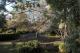 Lanscaped Gardens  - Mildura Inlander Resort