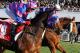 Racing  - Quest Ascot