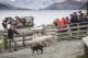 TSS Earnslaw Walter Peak Farm & BBQ Lunch Excursion
 - TSS Earnslaw, Walter Peak Farm & Gourmet BBQ Lunch, 4 hours RealNZ