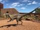 Australian Age of Dinosaurs
 - 5 Day Winton Explorer - WTNEXP Red Dirt Tours